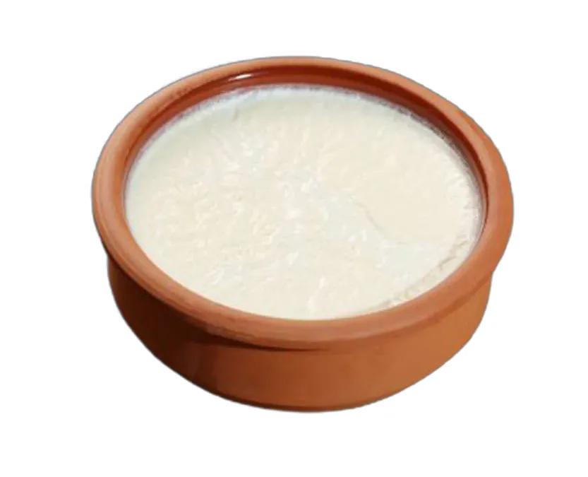ÇÖMLEK YOĞURT